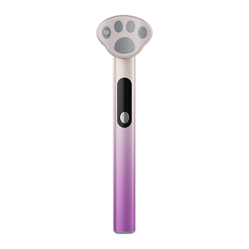 Electronic Beauty Device